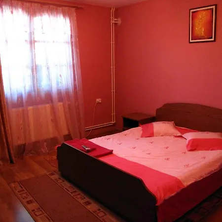 Guest house Casa Oana 2*