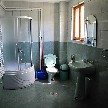 Gasthof Casa Oana Sulina