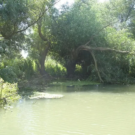 Casa Oana 2* Sulina