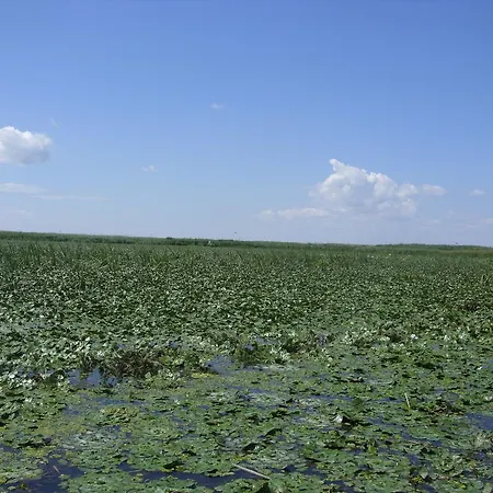 Casa Oana Gasthof 2*