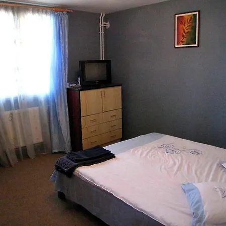 Guest house Casa Oana 2*